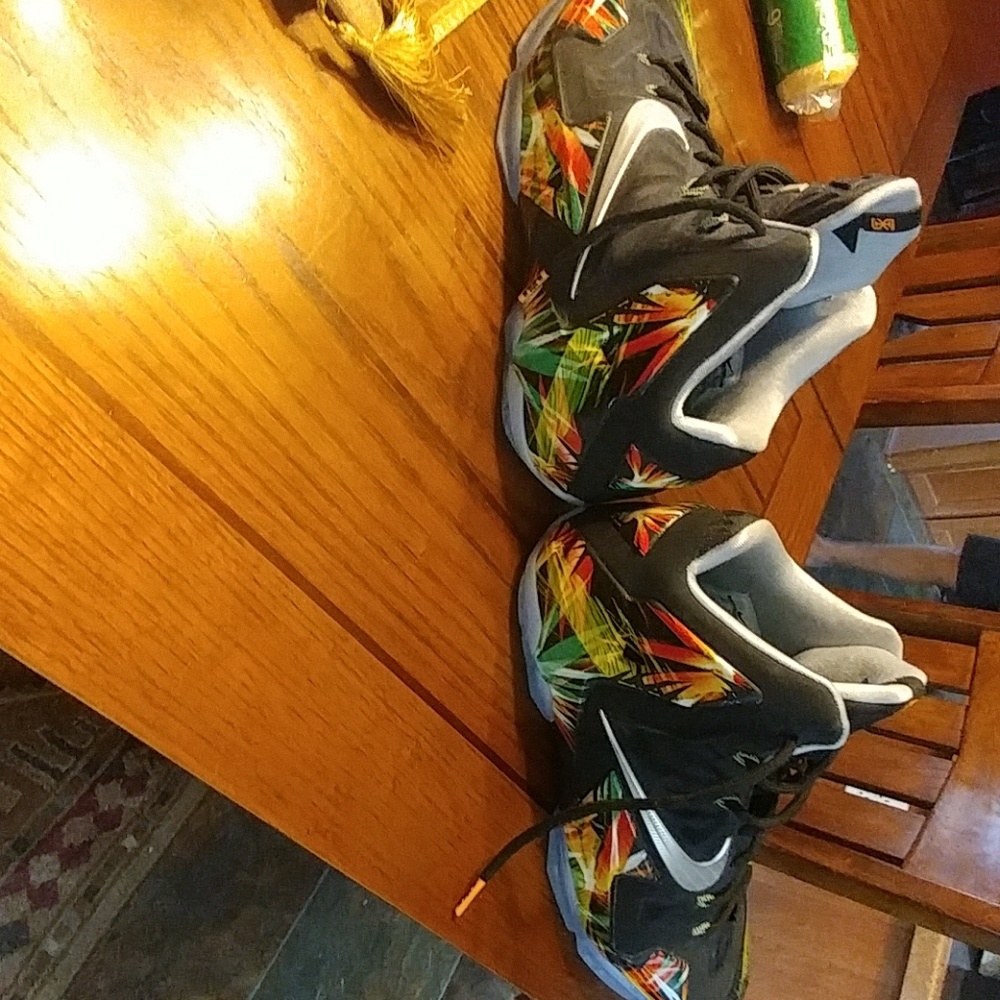 Nike LeBron James 11 "Everglades"